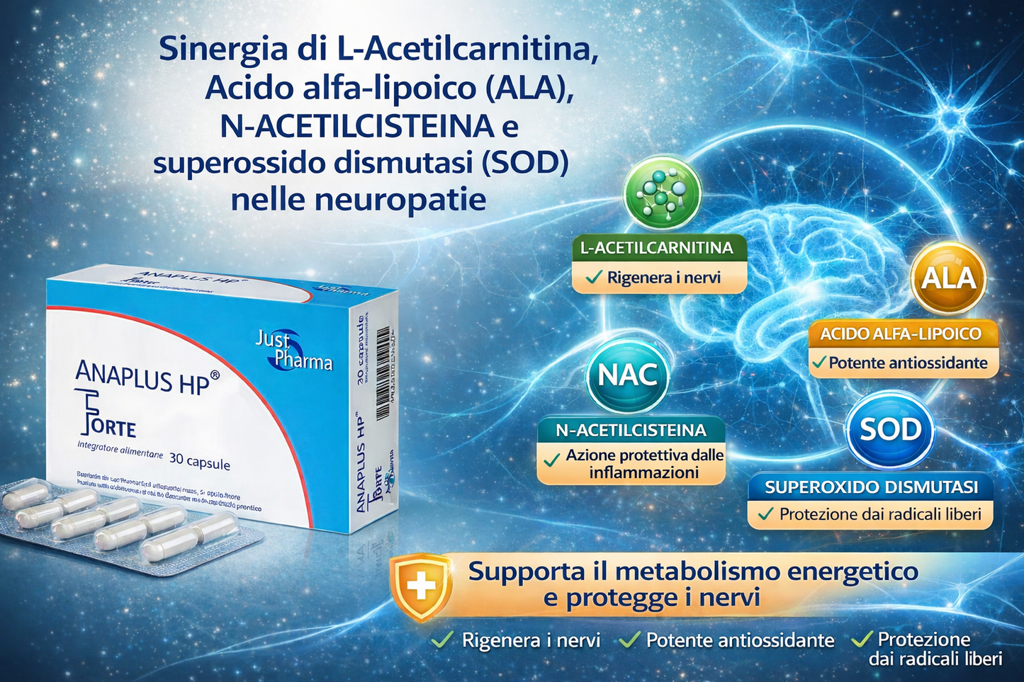 "Sinergia neuropatie ANAPLUS - Benefici per il sistema nervoso"